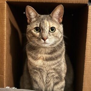 Meet your Posher, Jen